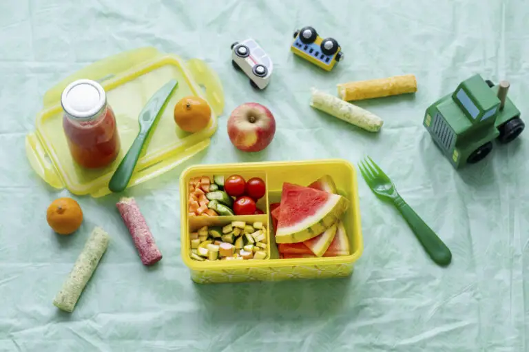 Bento Box Kids Lunch Ideas: healthy and easy (2024) - Pixiepath