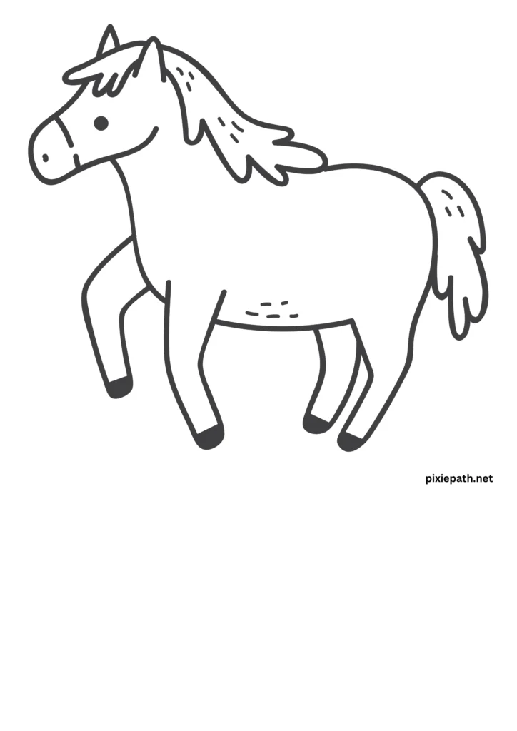 Horse 4